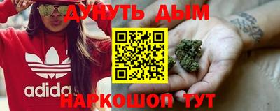 крисы Нягань