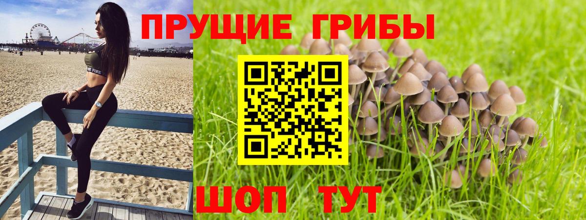 Галлюциногенные грибы мухоморы Сальск