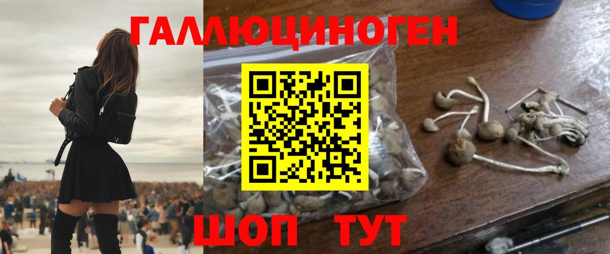 Сальск  Галлюциногенные грибы мухоморы  Вход с VPN 